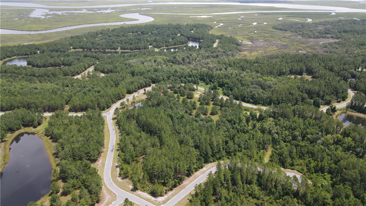 Lot 394 Whales Brook Way Waverly, GA 31565 - Photo 5 of 16