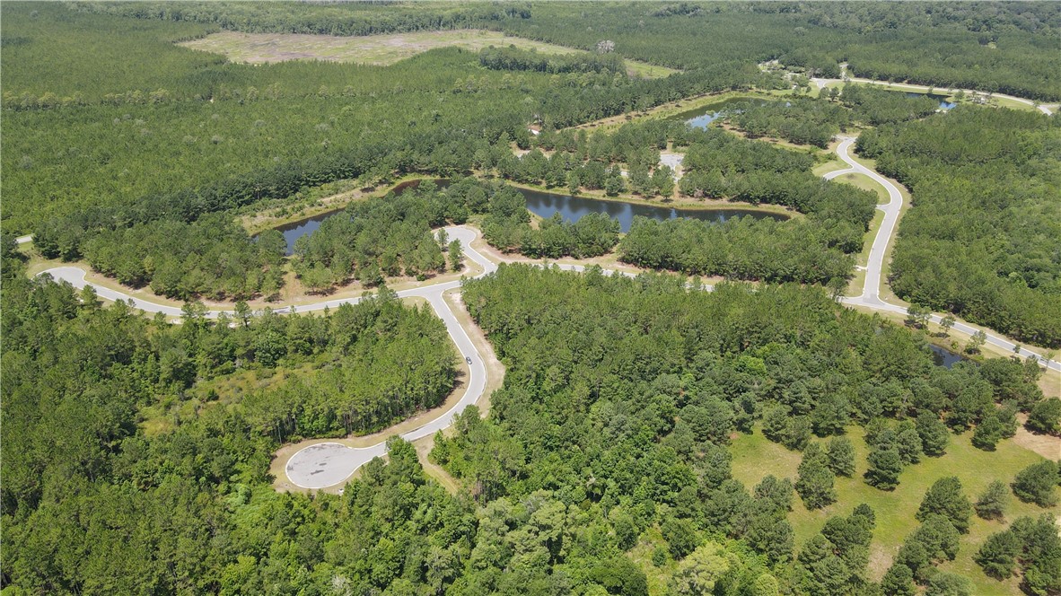 Lot 394 Whales Brook Way Waverly, GA 31565 - Photo 6 of 16