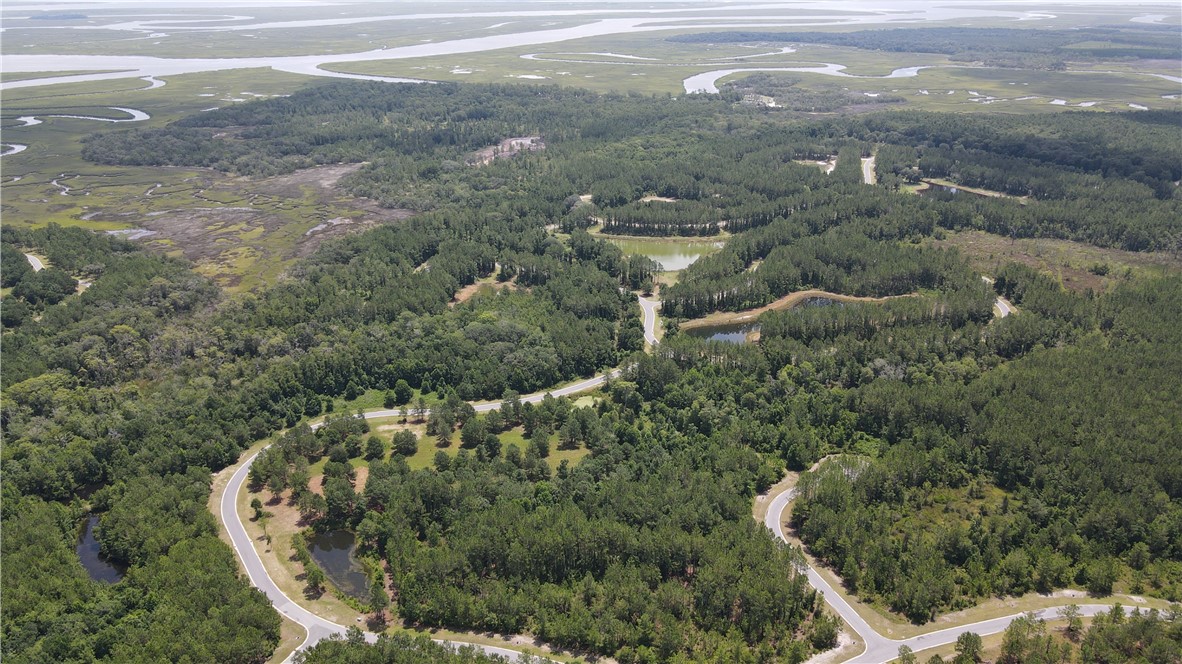 Lot 394 Whales Brook Way Waverly, GA 31565 - Photo 9 of 16