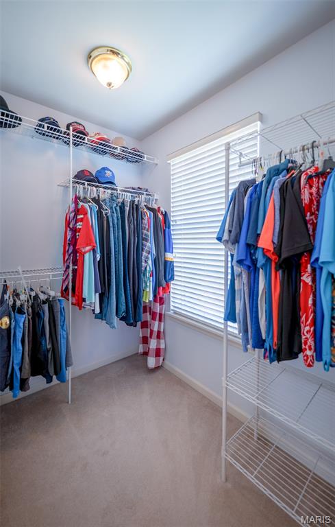 824 Legends View Drive Eureka, MO 63025 - Photo 32 of 60