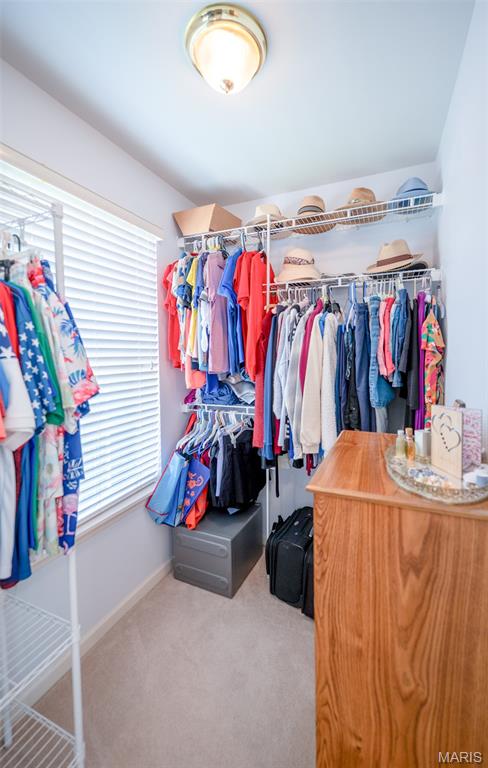 824 Legends View Drive Eureka, MO 63025 - Photo 33 of 60