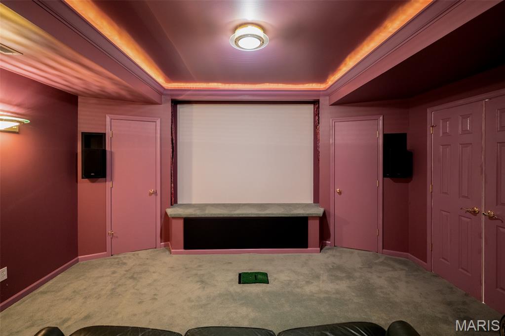 824 Legends View Drive Eureka, MO 63025 - Photo 45 of 60