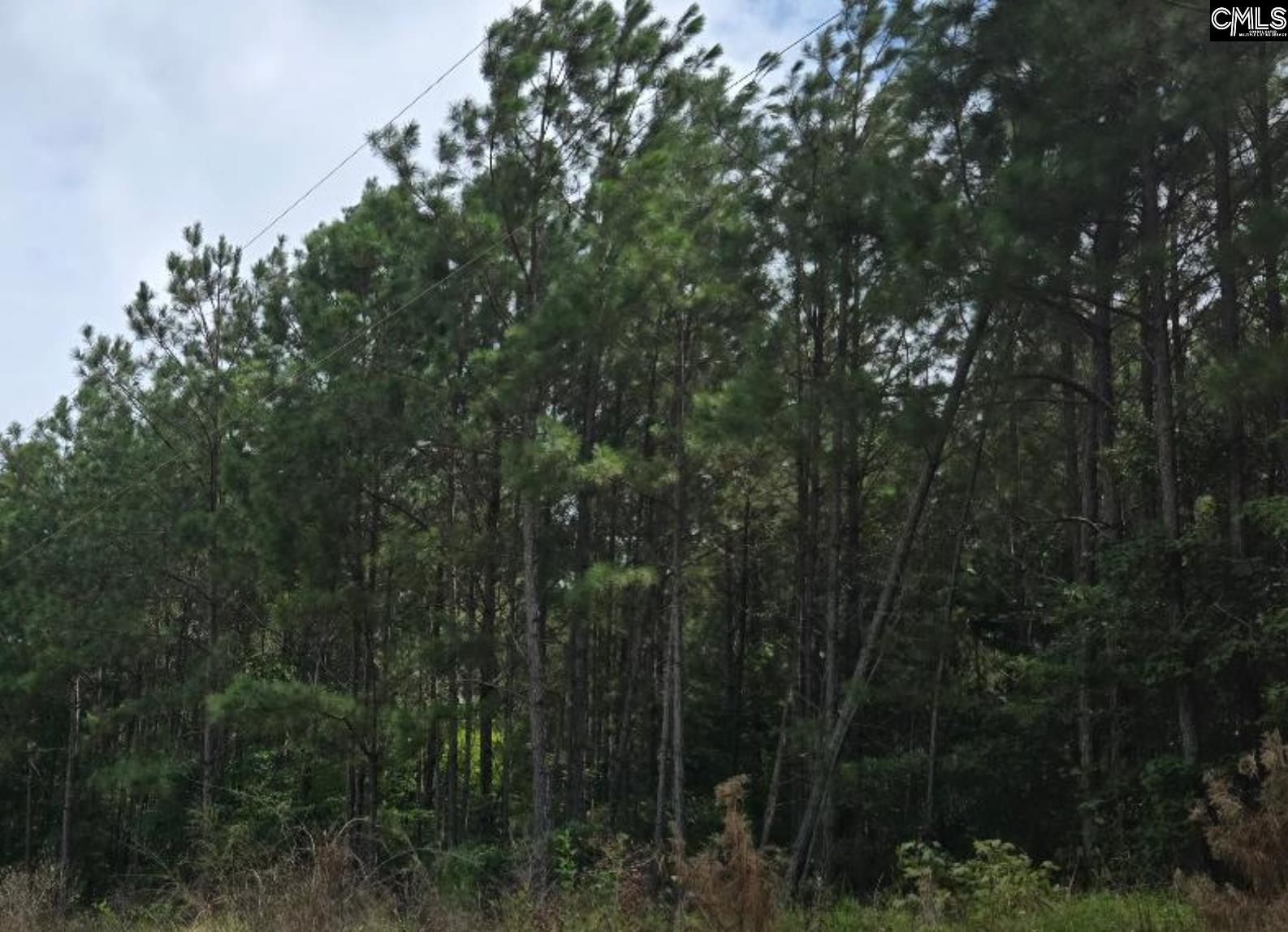 Lot L Old Edgefield Road Troy, SC 29848 - Photo 2 of 6