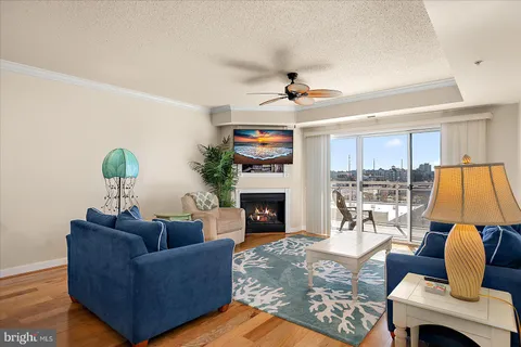 a living room with furniture ceiling fan and a fireplace