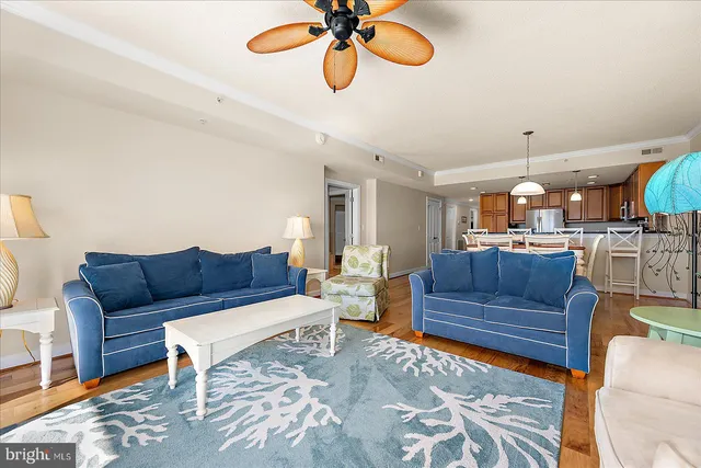 a living room with furniture ceiling fan and a rug