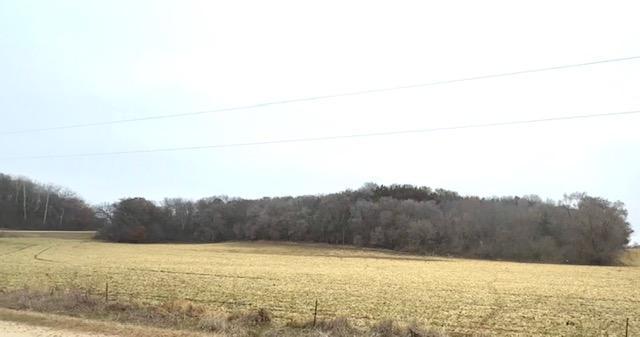 19-xx 65th Street Northeast Rochester, MN 55906 - Photo 6 of 7
