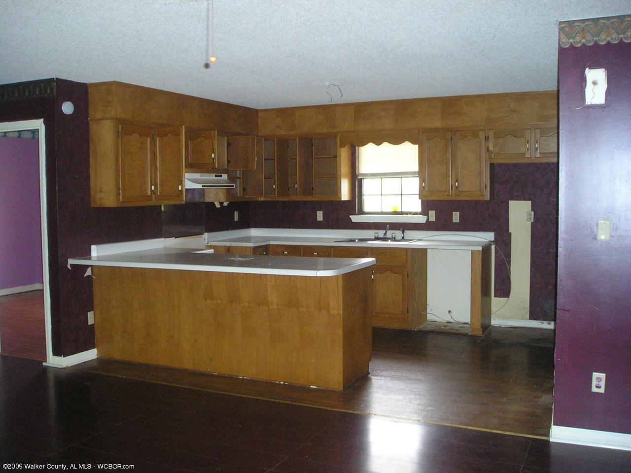 198 Ollie Miller Road Jasper, AL 35504 - Photo 4 of 10 Gallery Image 4