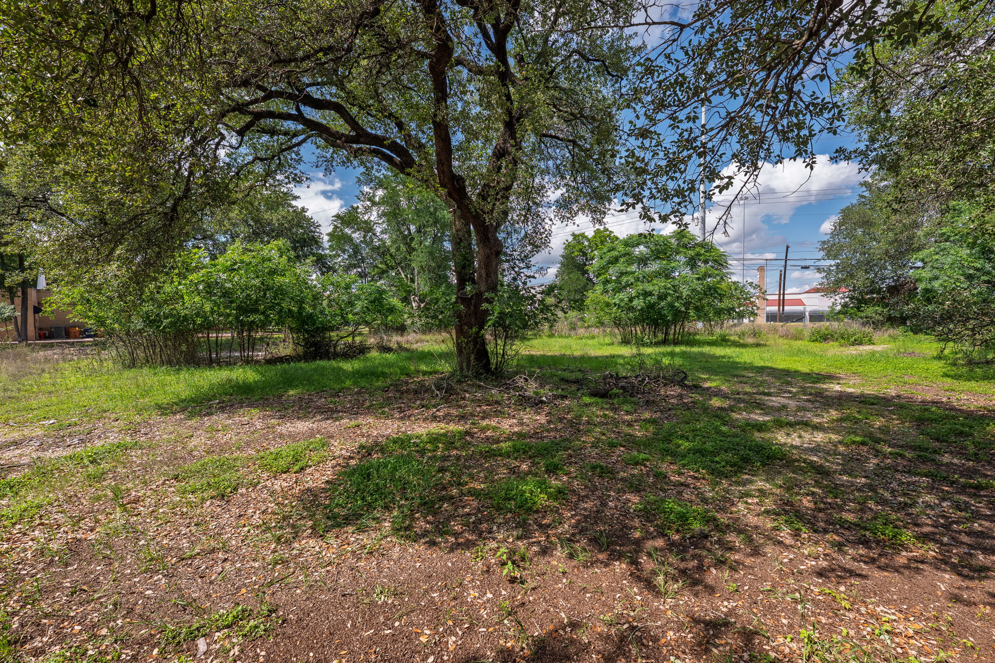 12182 Jollyville Road Austin, TX 78759 - Photo 15 of 25 Expansive lot featuring mature trees, partial grass coverage, and natural landscaping