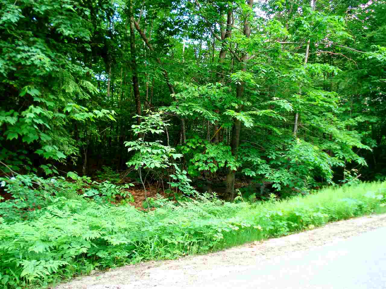 772 Lot 1.2 Flaghole Road, Unit 2 Andover, NH 03216 - Photo 1 of 28 Gallery Image 1