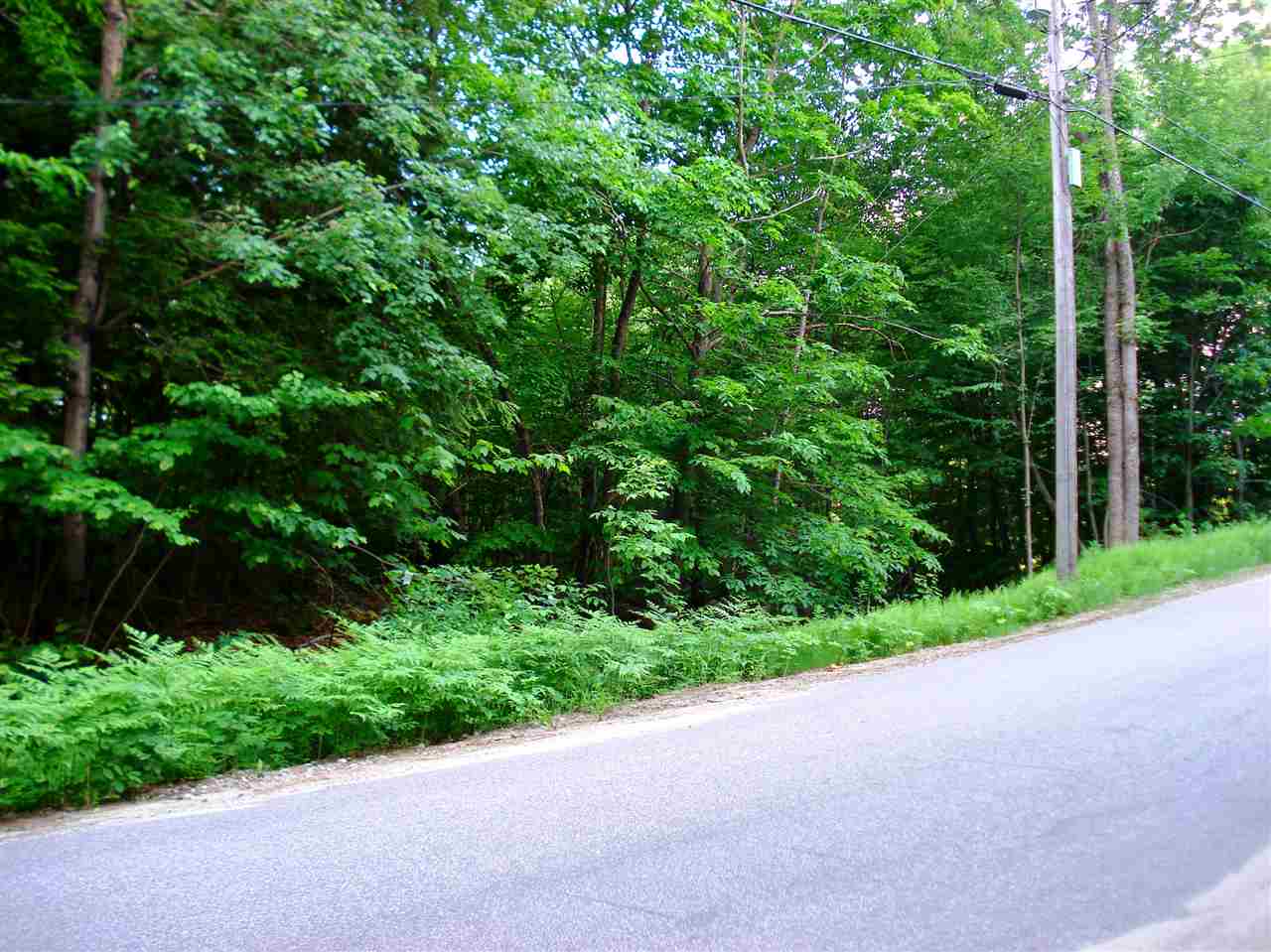 772 Lot 1.2 Flaghole Road, Unit 2 Andover, NH 03216 - Photo 14 of 28 Gallery Image 14