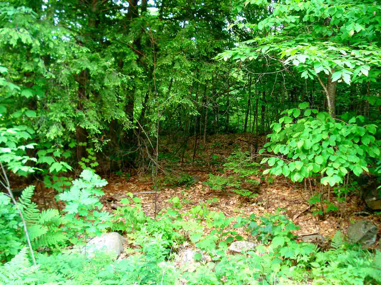 772 Lot 1.2 Flaghole Road, Unit 2 Andover, NH 03216 - Photo 16 of 28 Gallery Image 16