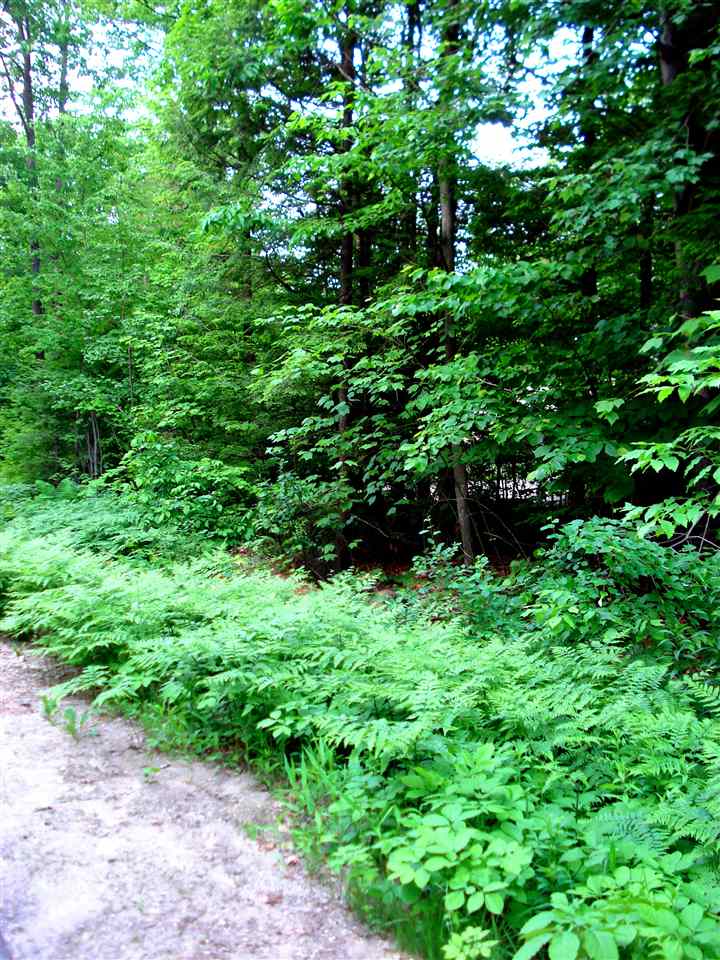 772 Lot 1.2 Flaghole Road, Unit 2 Andover, NH 03216 - Photo 17 of 28 Gallery Image 17