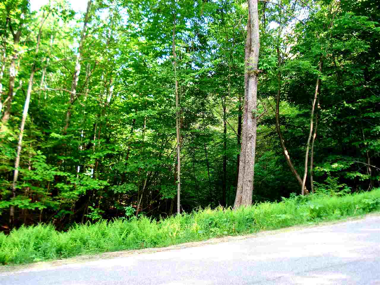 772 Lot 1.2 Flaghole Road, Unit 2 Andover, NH 03216 - Photo 20 of 28 Gallery Image 20