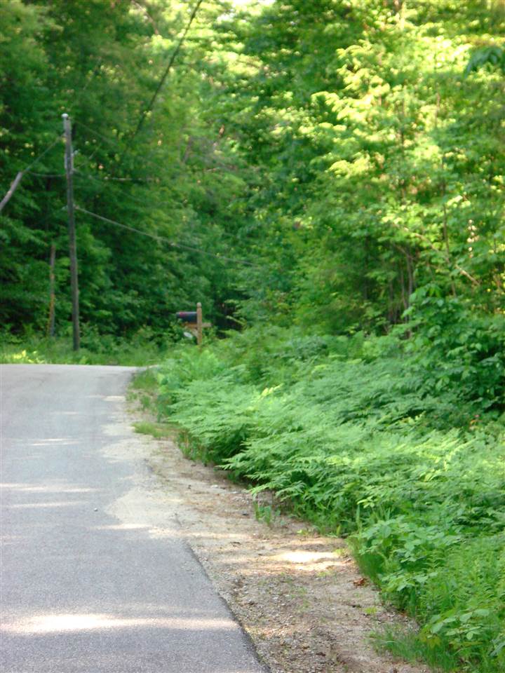 772 Lot 1.2 Flaghole Road, Unit 2 Andover, NH 03216 - Photo 3 of 28 Gallery Image 3