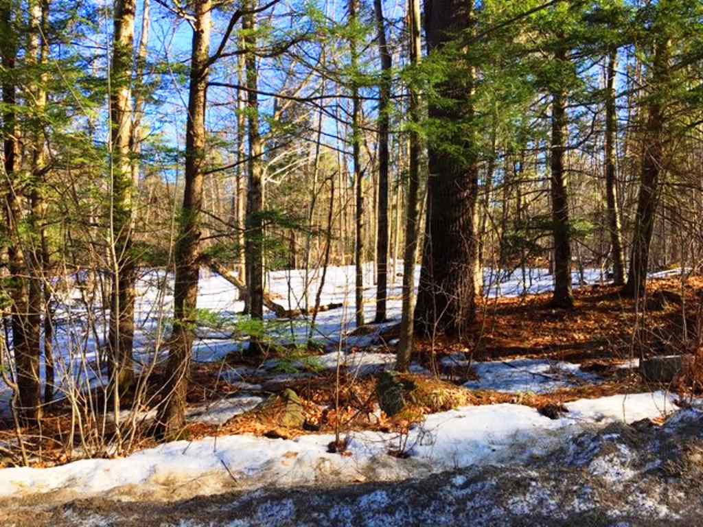 772 Lot 1.2 Flaghole Road, Unit 2 Andover, NH 03216 - Photo 23 of 28 Gallery Image 23