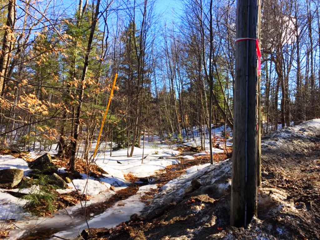 772 Lot 1.2 Flaghole Road, Unit 2 Andover, NH 03216 - Photo 24 of 28 Gallery Image 24