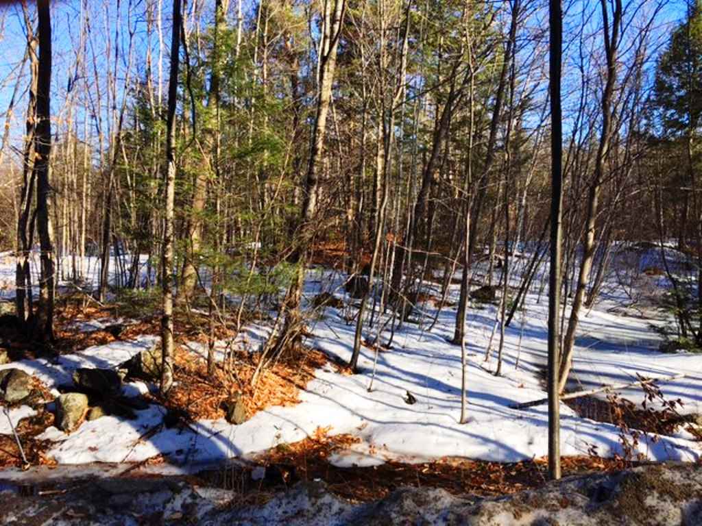 772 Lot 1.2 Flaghole Road, Unit 2 Andover, NH 03216 - Photo 25 of 28 Gallery Image 25