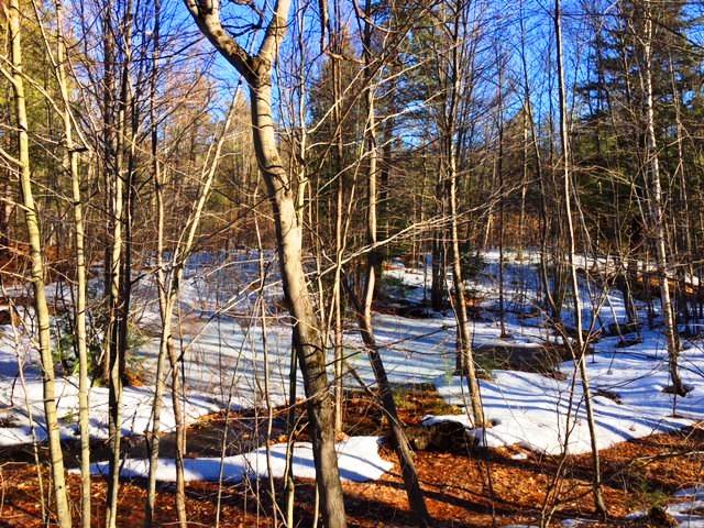 772 Lot 1.2 Flaghole Road, Unit 2 Andover, NH 03216 - Photo 26 of 28 Gallery Image 26