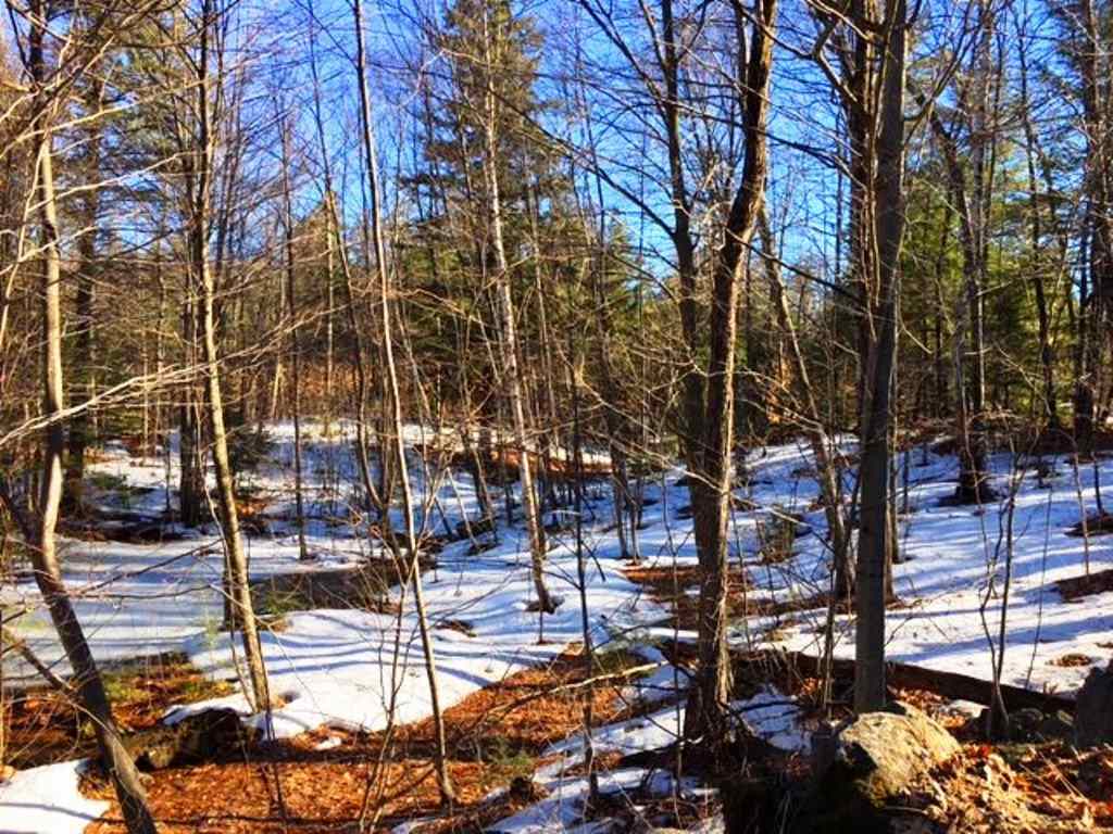 772 Lot 1.2 Flaghole Road, Unit 2 Andover, NH 03216 - Photo 27 of 28 Gallery Image 27