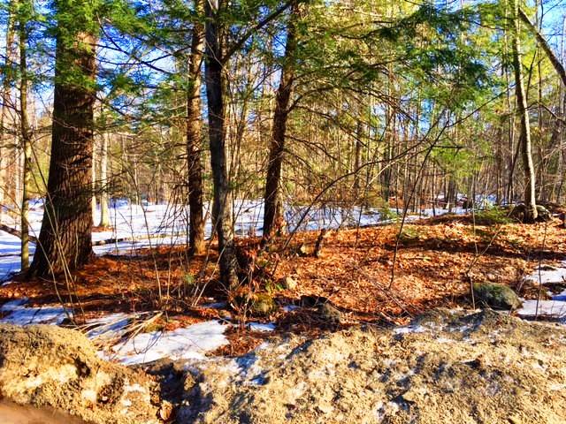 772 Lot 1.2 Flaghole Road, Unit 2 Andover, NH 03216 - Photo 28 of 28 Gallery Image 28
