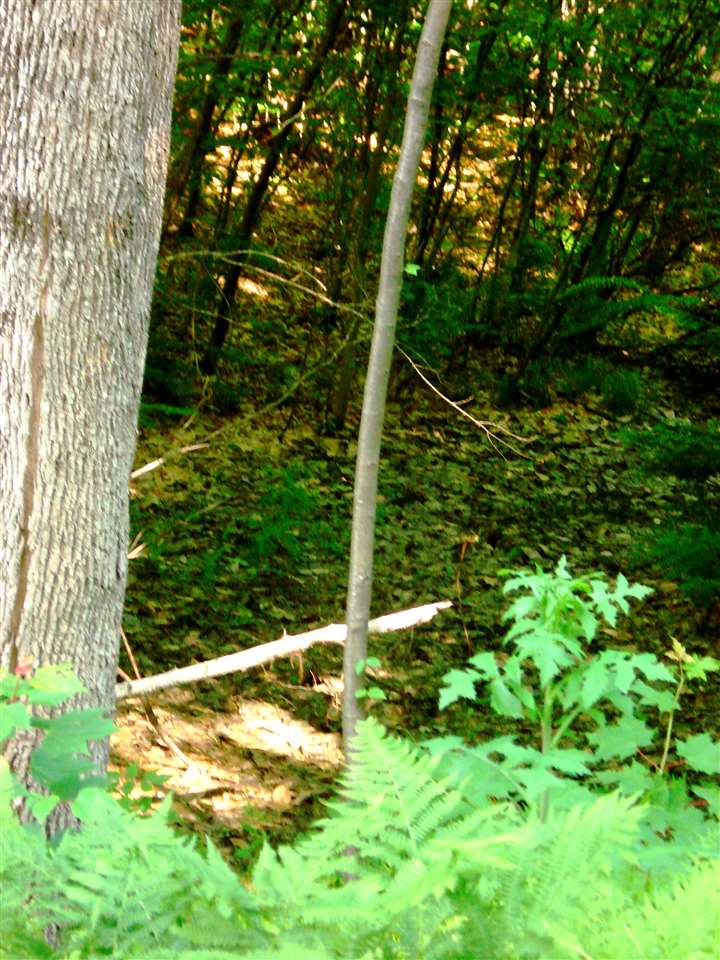 772 Lot 1.2 Flaghole Road, Unit 2 Andover, NH 03216 - Photo 8 of 28 Gallery Image 8