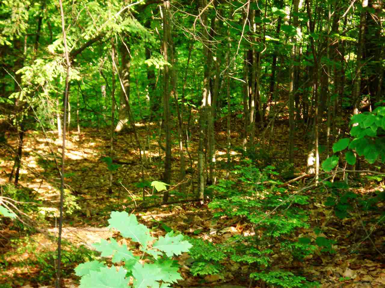 772 Lot 1.2 Flaghole Road, Unit 2 Andover, NH 03216 - Photo 10 of 28 Gallery Image 10