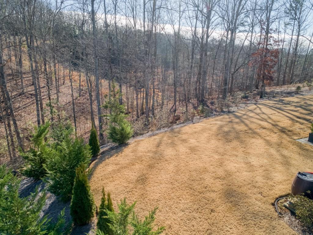 20 Bluestone Way Northeast Cartersville, GA 30121 - Photo 8 of 55