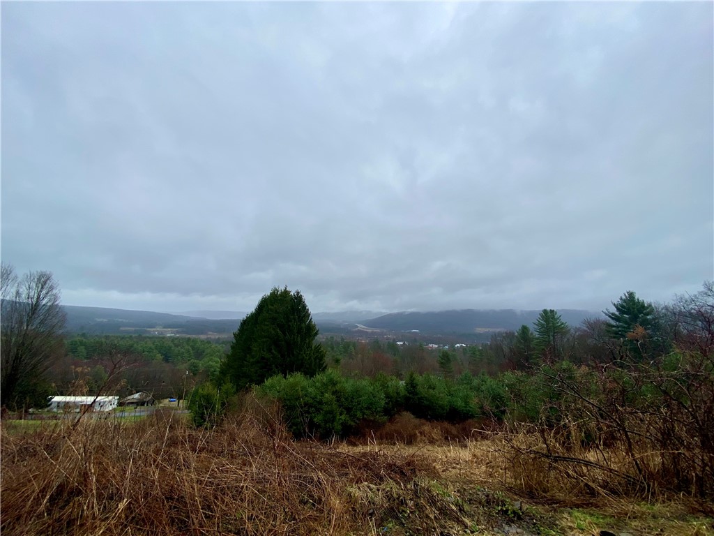 120 Fisher Road Afton, NY 13730 - Photo 21 of 21 porch view