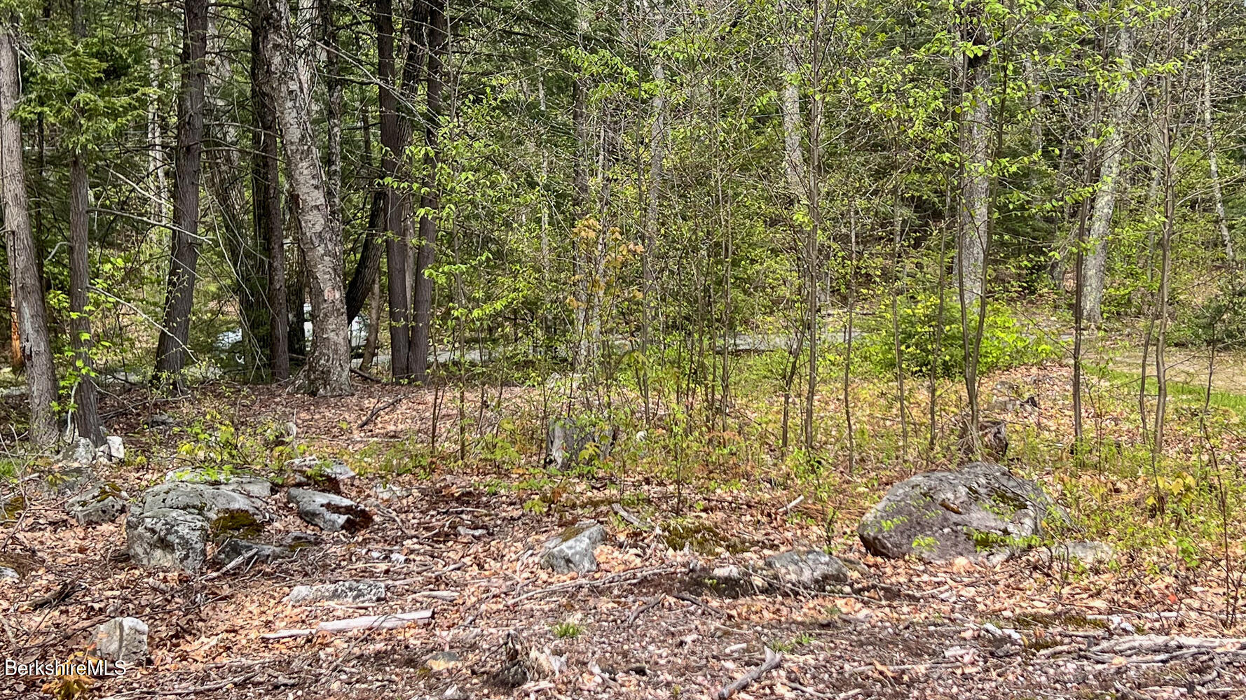 58 Stanley Road East Otis, MA 01029 - Photo 10 of 14 a view of a garden with trees