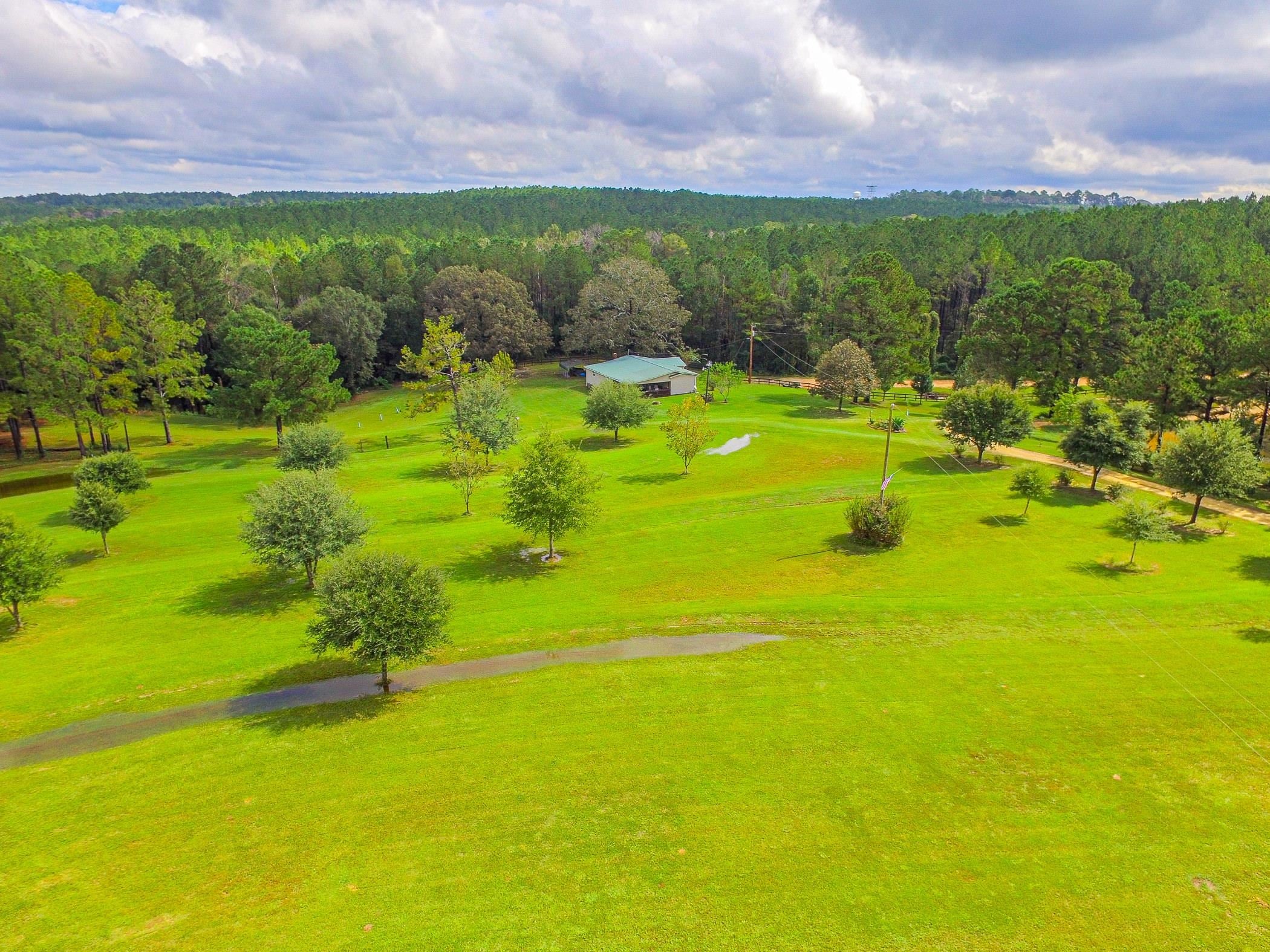 36705 Hall Road Red Level, AL 36474 - Photo 13 of 50 Gallery Image 13