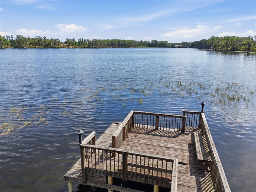 11403 Biddeford Place New Port Richey, FL 34654 - Photo 64 of 78