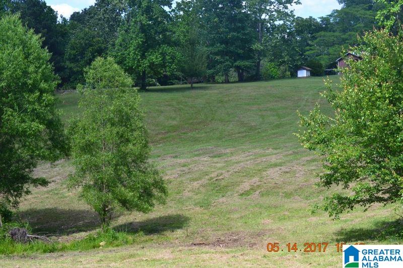 2257 County Road 55 Clanton, AL 35046 - Photo 14 of 35