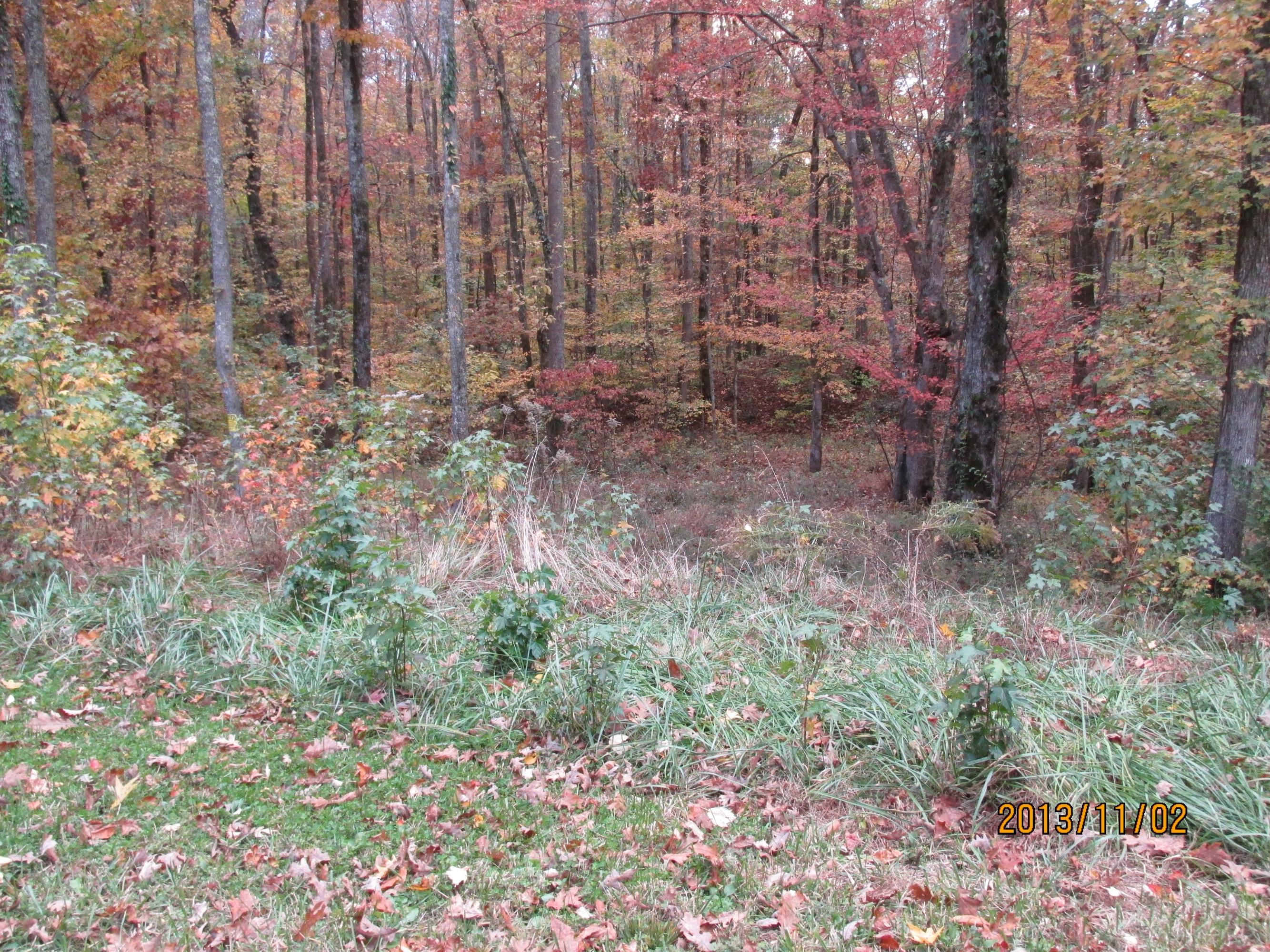 Lot 1 Eagle Ridge Road Rockwood, TN 37854 - Photo 3 of 10 IMG_0523