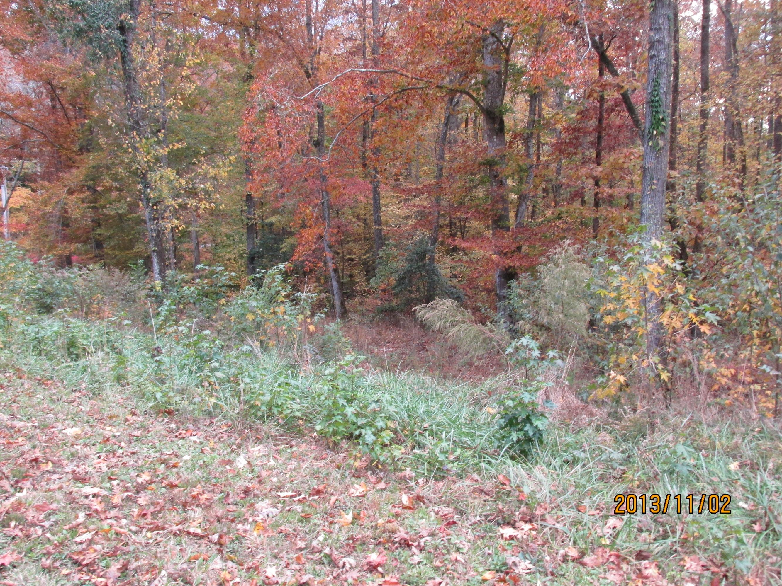 Lot 1 Eagle Ridge Road Rockwood, TN 37854 - Photo 4 of 10 IMG_0524