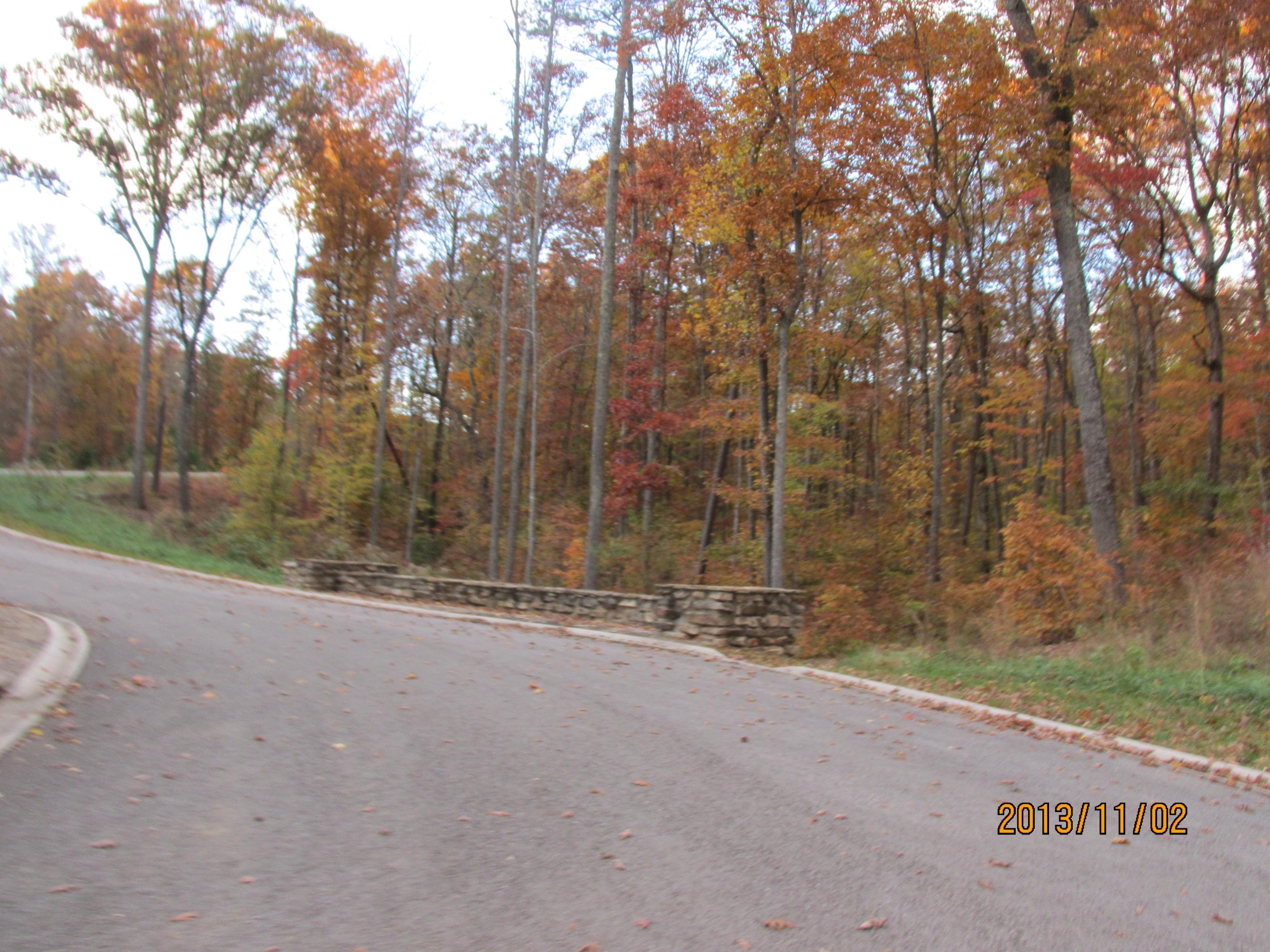 Lot 1 Eagle Ridge Road Rockwood, TN 37854 - Photo 8 of 10 IMG_0528