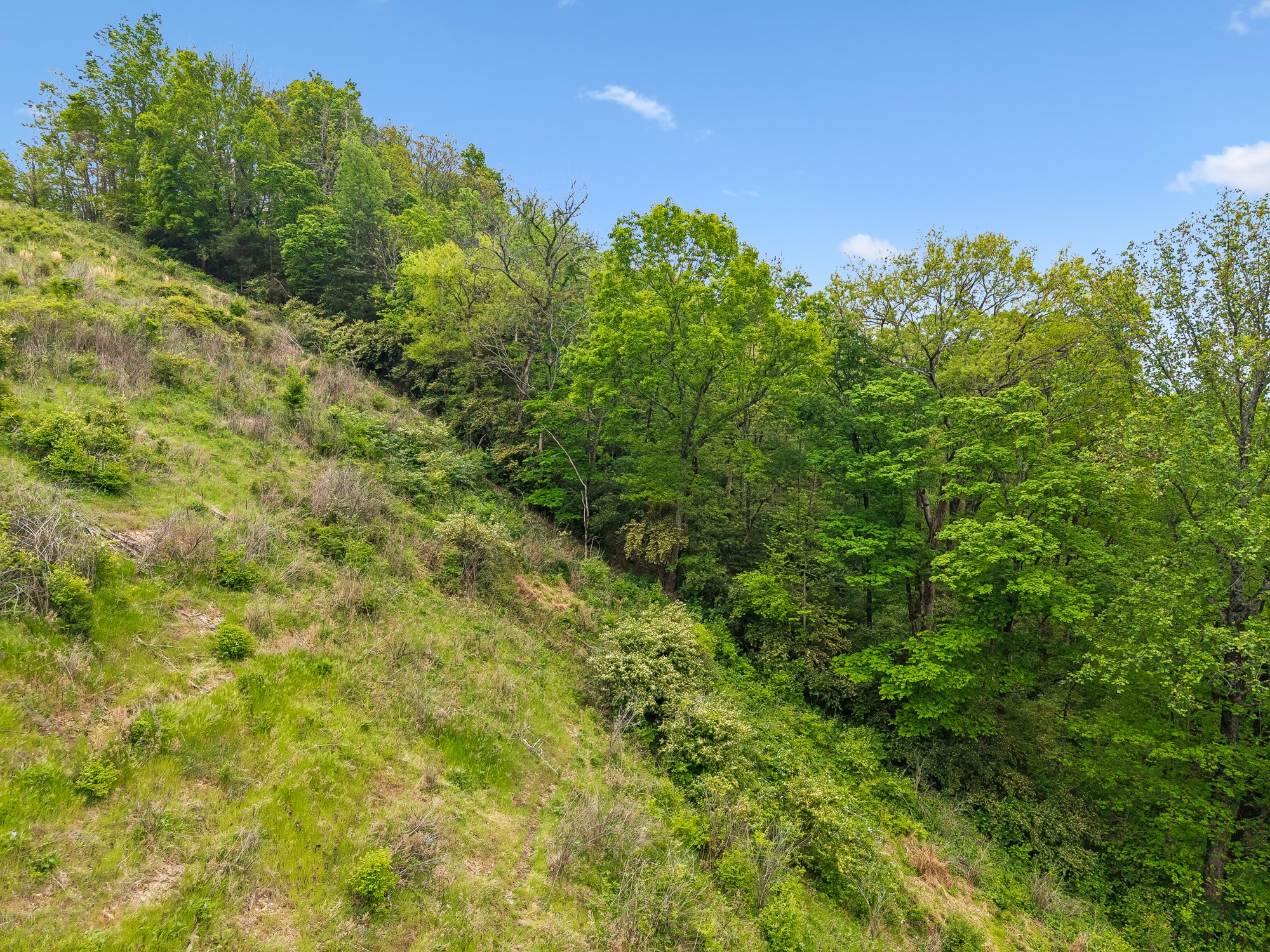 1352 Holly Tree Gap Road Brentwood, TN 37027 - Photo 11 of 13