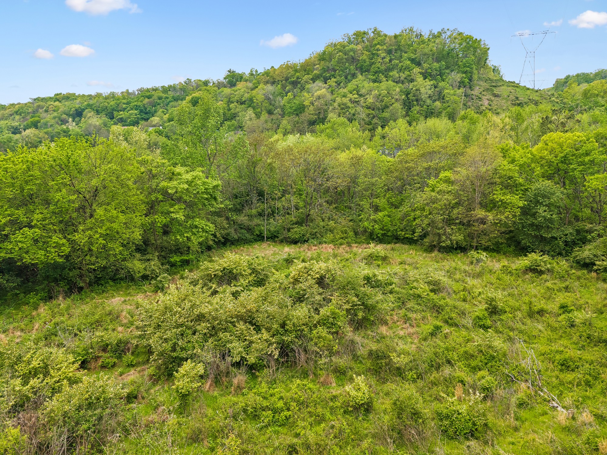1352 Holly Tree Gap Road Brentwood, TN 37027 - Photo 12 of 13