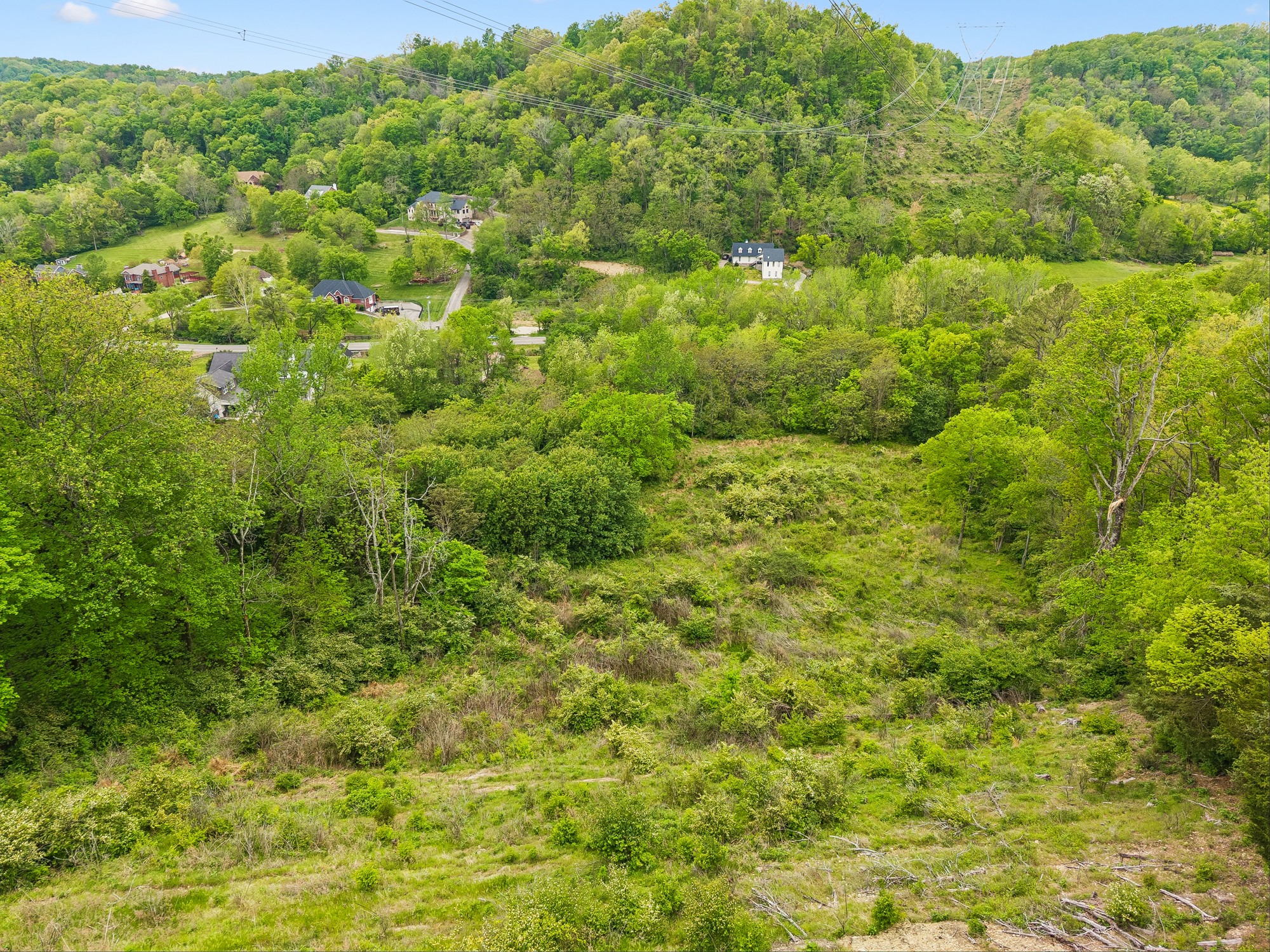 1352 Holly Tree Gap Road Brentwood, TN 37027 - Photo 10 of 13