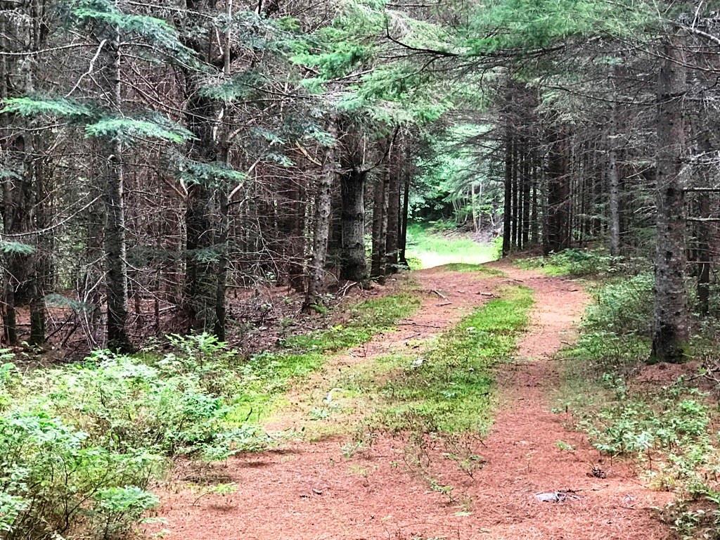 155 W Road Shirley, ME 04485 - Photo 2 of 24 Photo