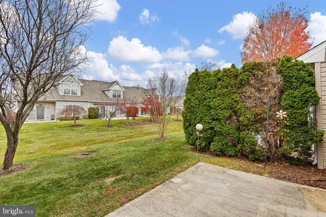a view of a big yard with plants and large trees