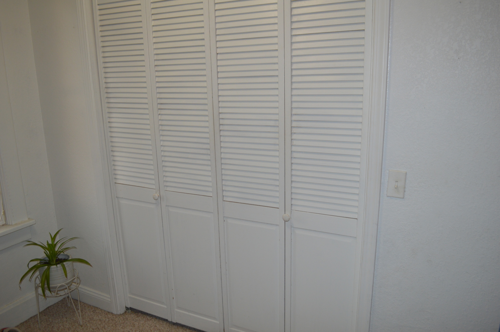 225 West Devlin Street Spring Valley, IL 61362 - Photo 21 of 29