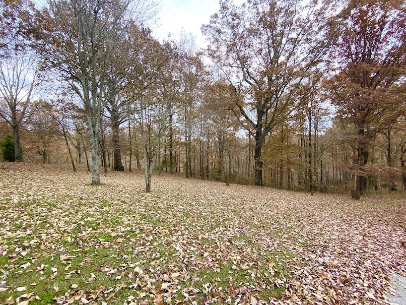 402 Rivendell Road Woodbury, TN 37190 - Photo 16 of 17 Gallery Image 16