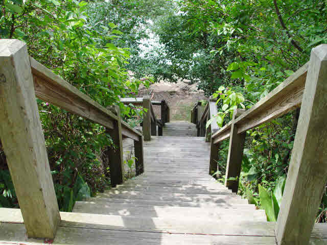 655 North Mobile Street Fairhope, AL 36532 - Photo 30 of 36 Stairs to beach