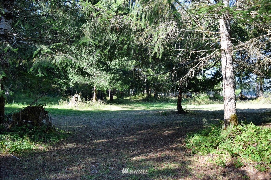1500 West Ford Loop Road Elma, WA 98541 - Photo 19 of 23 Gallery Image 19