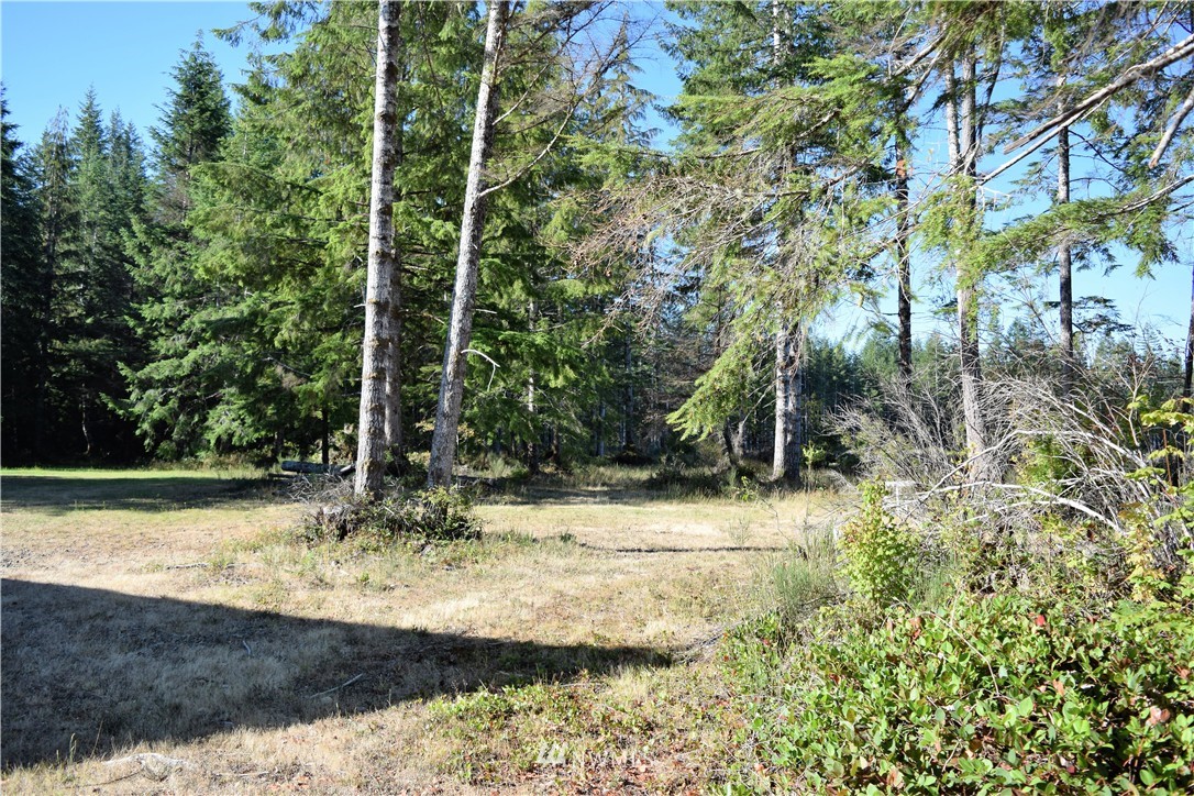 1500 West Ford Loop Road Elma, WA 98541 - Photo 20 of 23 Gallery Image 20