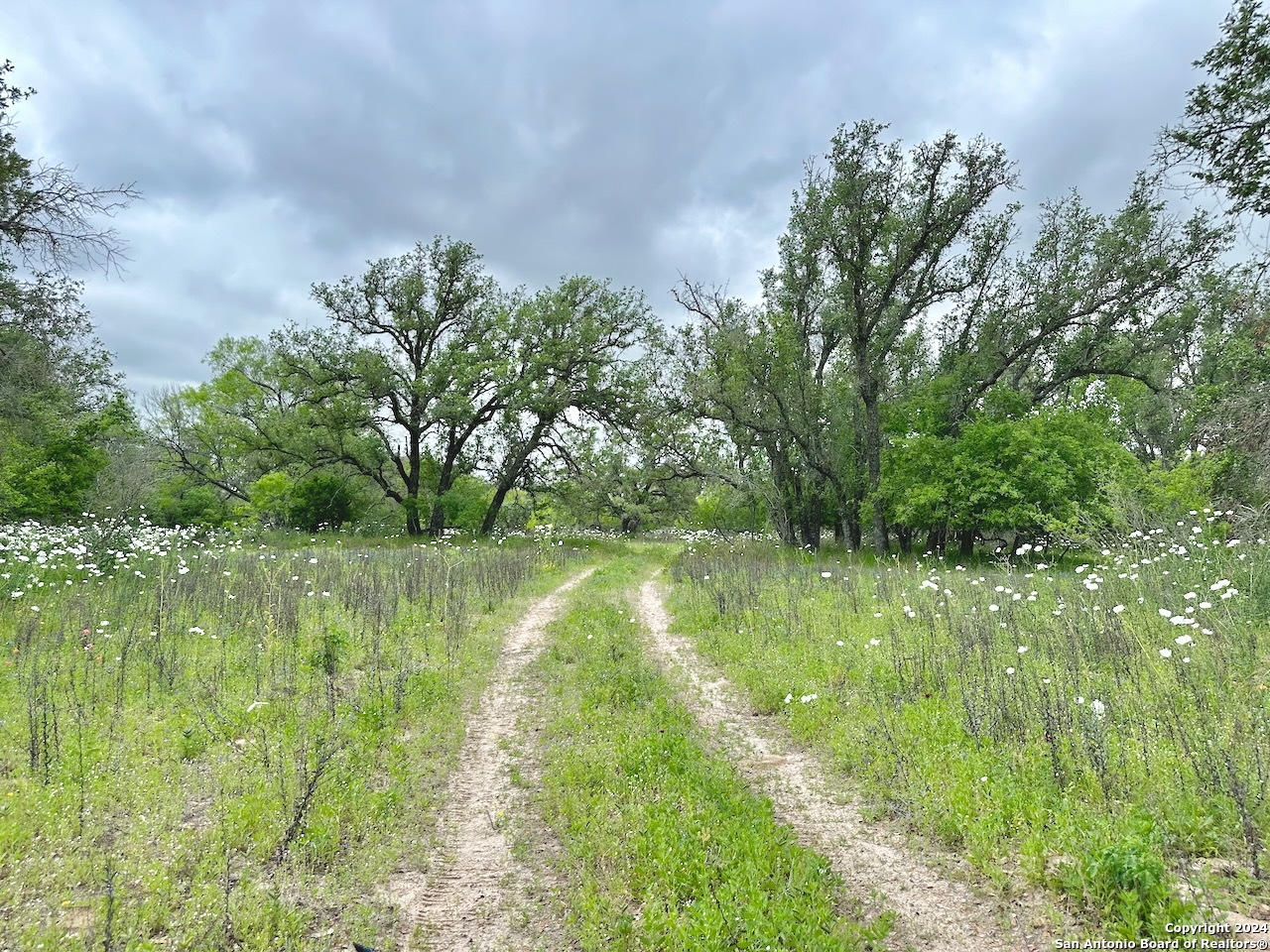 7711 Devine Tx 78016 Devine, TX 78016 - Photo 11 of 51 a view of lake with green space