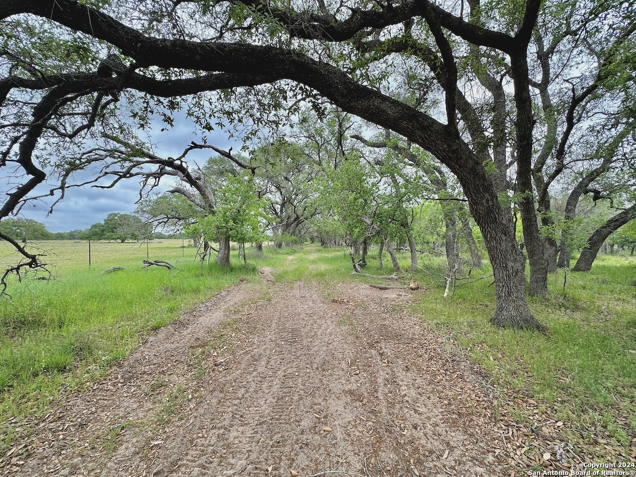 7711 Devine Tx 78016 Devine, TX 78016 - Photo 12 of 51 a view of a yard with a tree