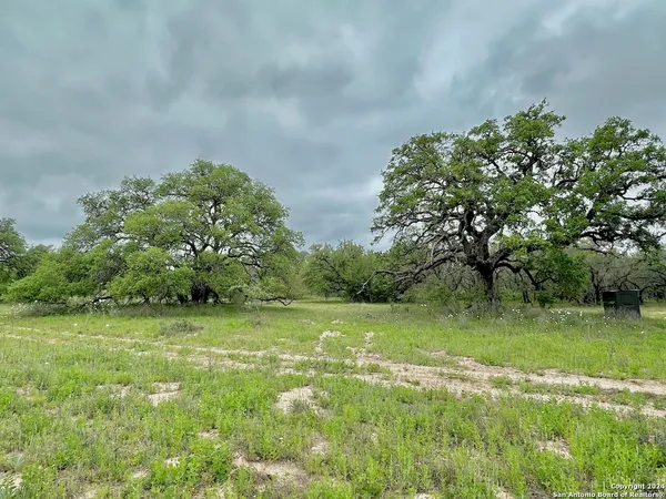 a view of a field with trees in background