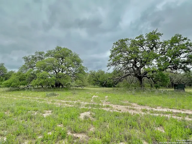 a view of a field with trees in background