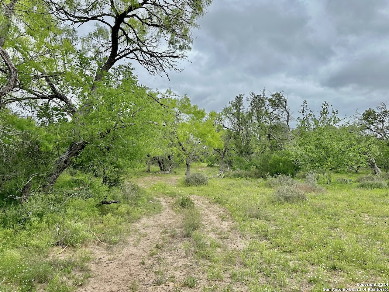 7711 Devine Tx 78016 Devine, TX 78016 - Photo 19 of 51 a view of a big yard with lots of green space